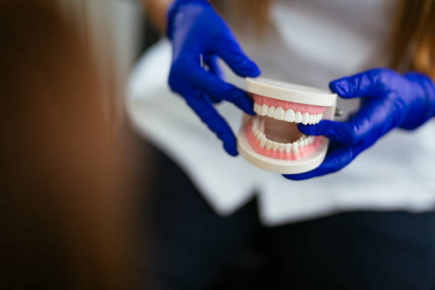 Best Preventive Dentistry  in West Dundee, IL